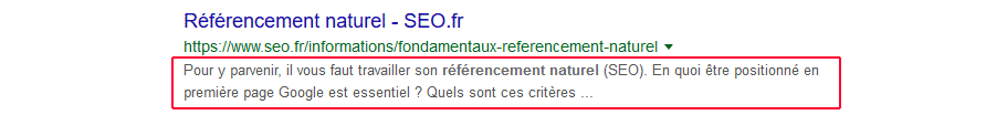 SEO : exemple de snippet sur Google