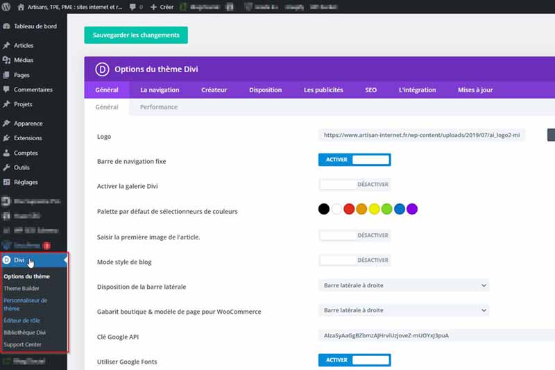 Options Divi, thème WordPress, Art-In, conception de sites internet professionnels